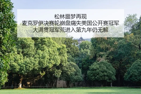 song-lin-e-meng-zai-xian-mai-ke-luo-yi-jue-sai-lun-beng-pan-tong-shi-mei-guo-gong-kai-sai-guan-jun-da-man-guan-guan-jun-2-706.jpg